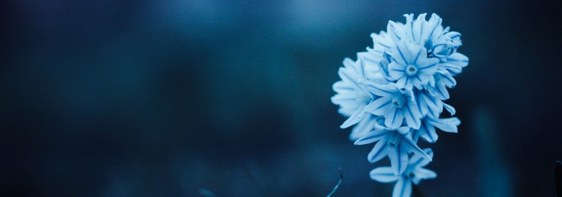 National Redress (1)