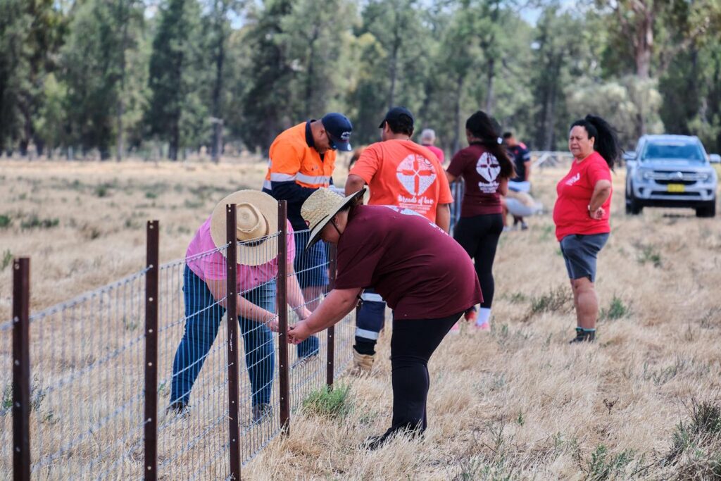 592251834 850446207373628 4307152255730192183 n