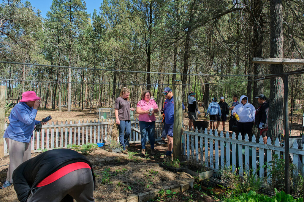 Griffith_02 Griffith