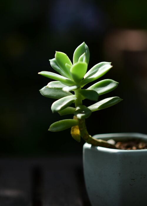 Gendered Violence Conferene reflection thumb