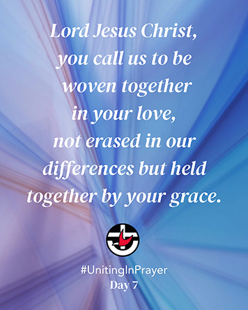 UIP Day 7 at